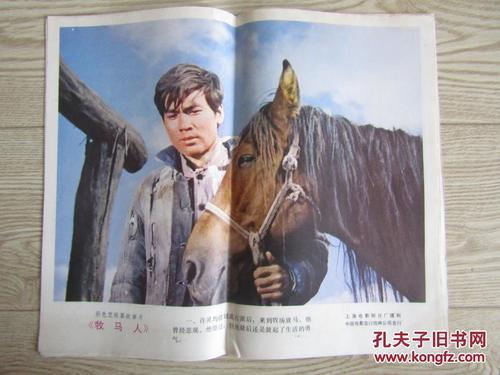 维罗纳音乐学院Accounting Diploma